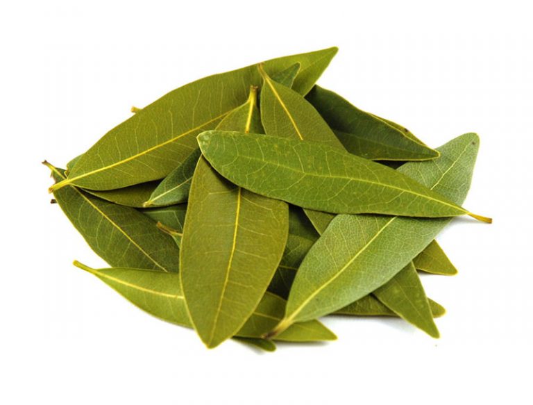 Laurel Leaf A Miracle Made Tea That Protects Against Cancer By