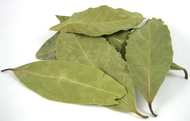 laurel leaves