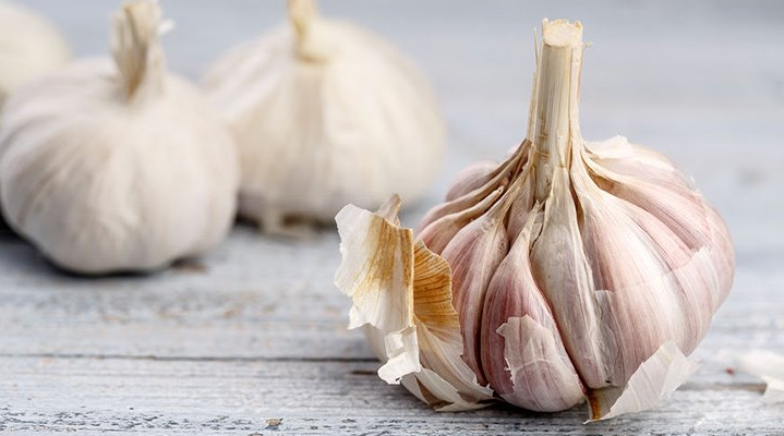 see-what-a-garlic-can-do-to-your-body-my-healthygram