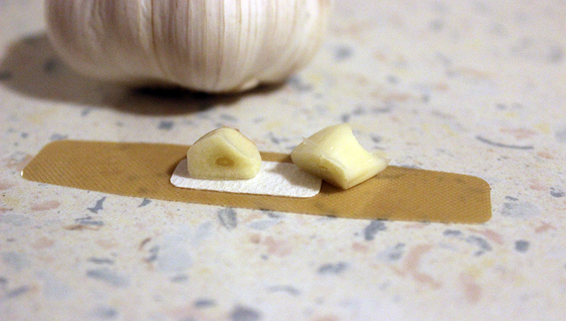 garlic on a patch