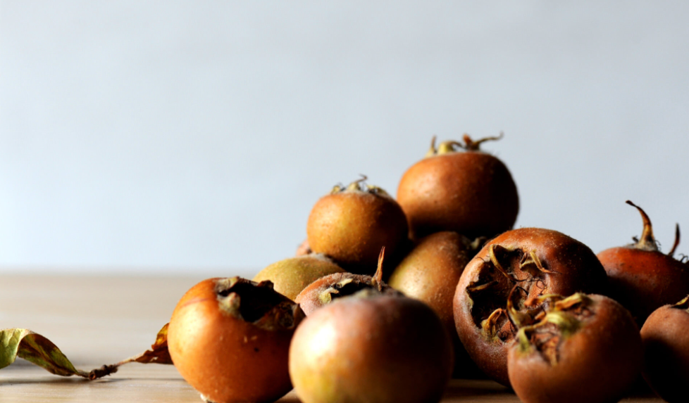 medlar