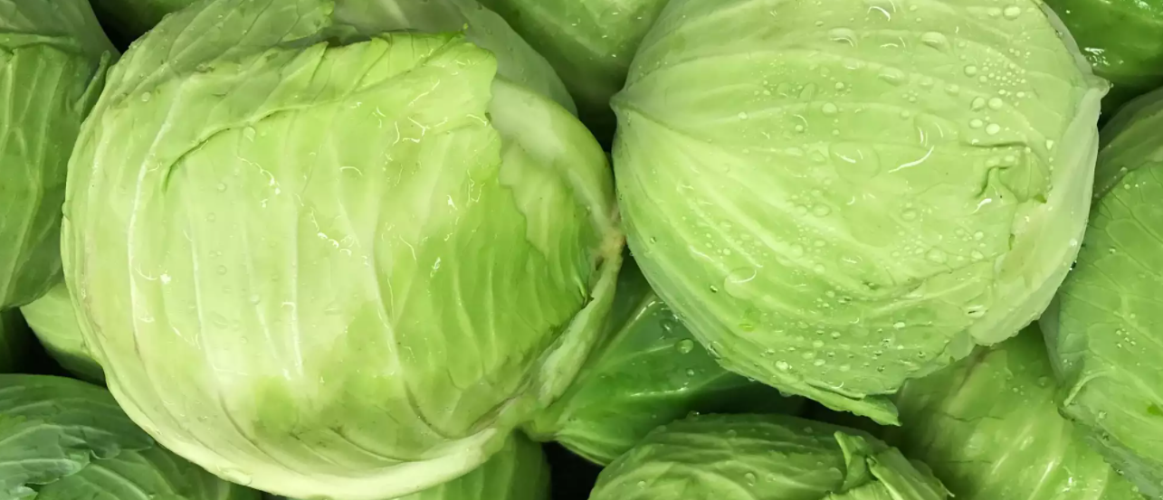 Cabbage