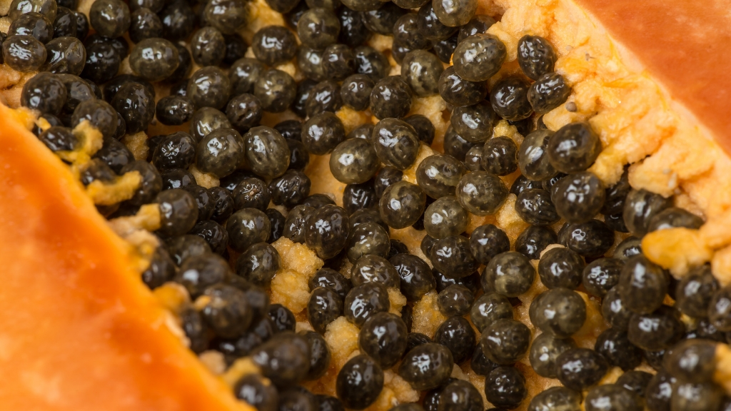 papaya seeds