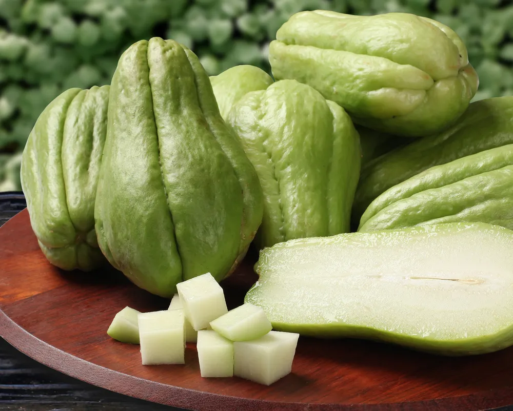 chayote