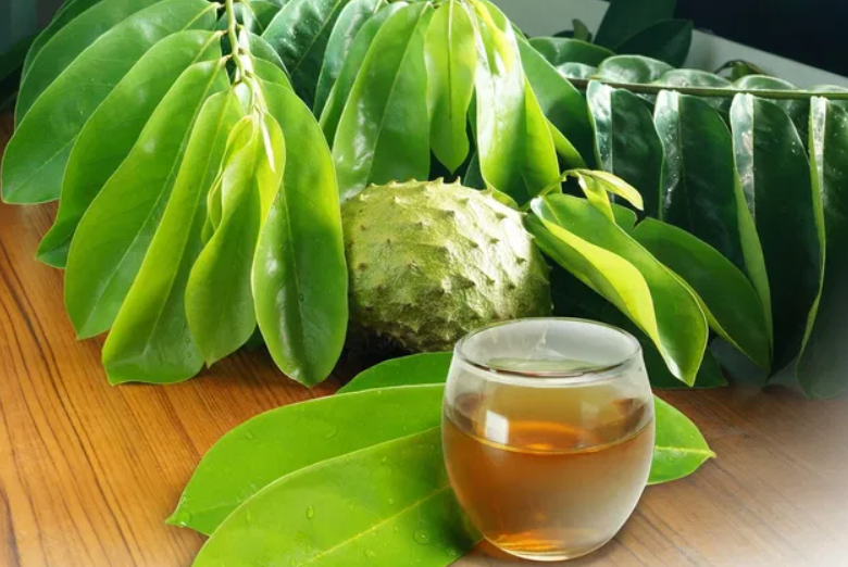 Soursop Tea