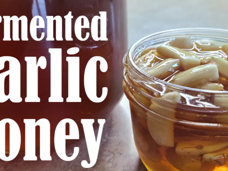 Fermented honey garlic