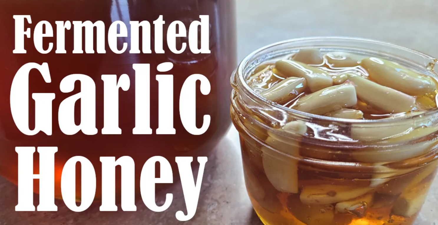 Fermented honey garlic