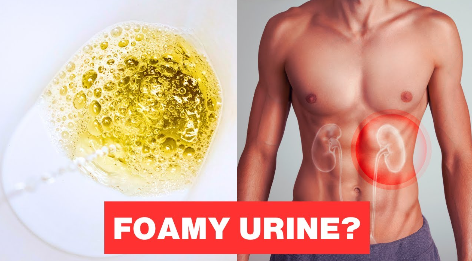 Foamy urine