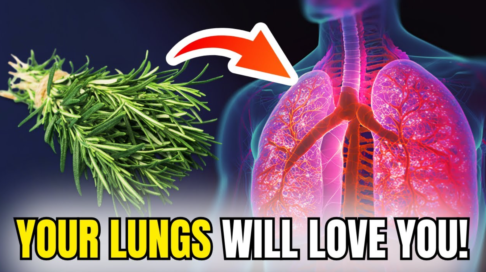 Lungs